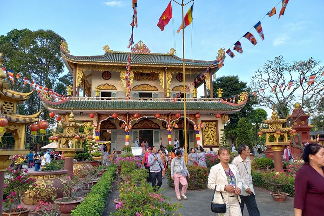 Pilgrimage at the beginning of Year of the Cat
