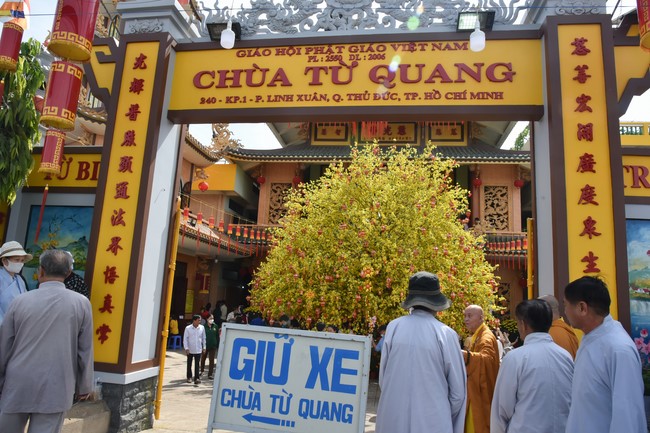 Pilgrimage at the beginning of Year of the Cat