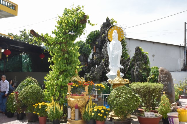 Pilgrimage at the beginning of Year of the Cat