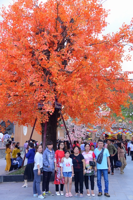 Series of photos on the 2nd day of Lunar New Year