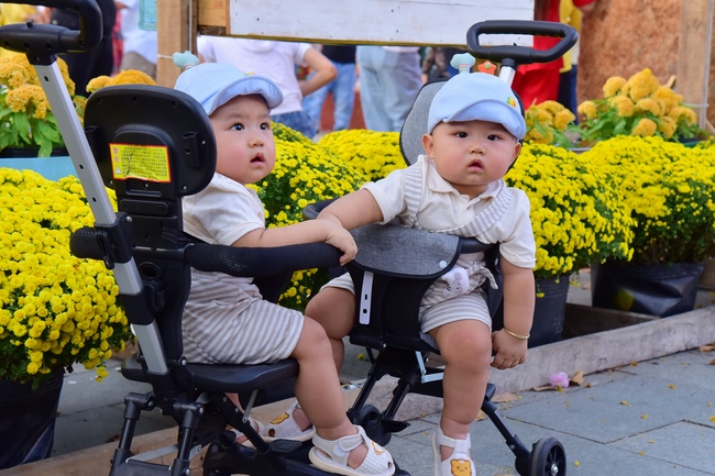 Series of photos on the 2nd day of Lunar New Year