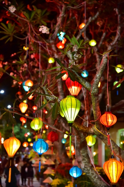 Series of photos on the 2nd day of Lunar New Year