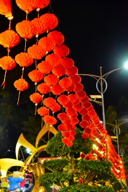 Series of photos on the 2nd day of Lunar New Year