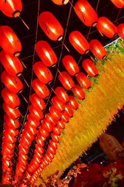 Series of photos on the 2nd day of Lunar New Year