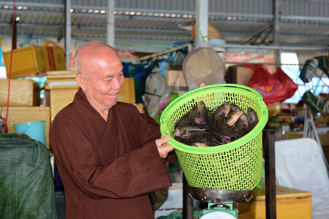 Freeing of creatures in early 2023 at Binh My ferry in Cu Chi