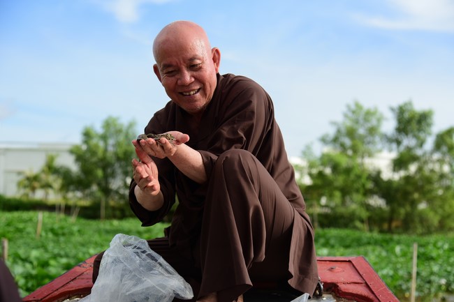 Freeing of creatures in early 2023 at Binh My ferry in Cu Chi