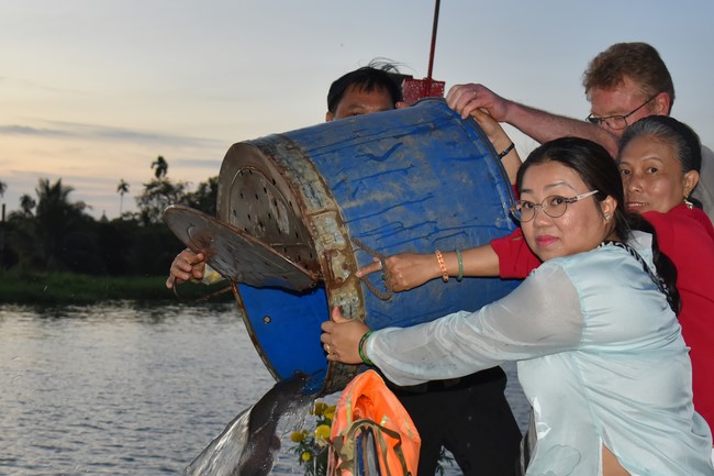 Freeing of creatures in early 2023 at Binh My ferry in Cu Chi