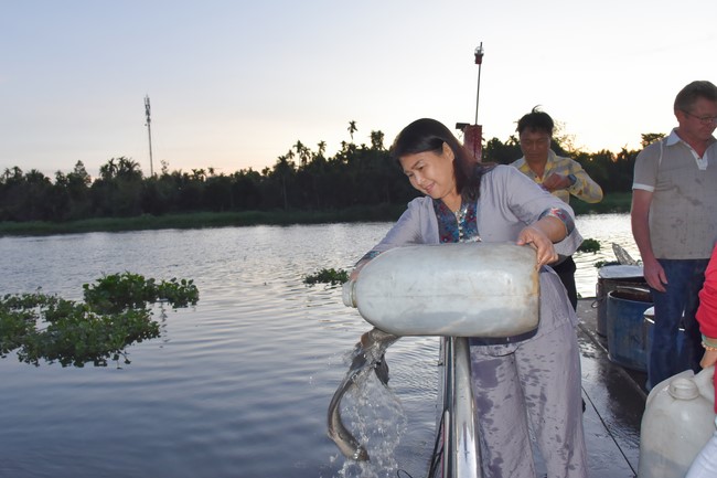 Freeing of creatures in early 2023 at Binh My ferry in Cu Chi