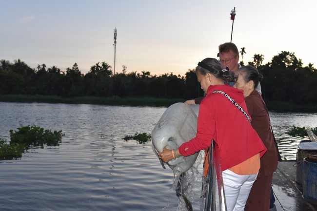Freeing of creatures in early 2023 at Binh My ferry in Cu Chi