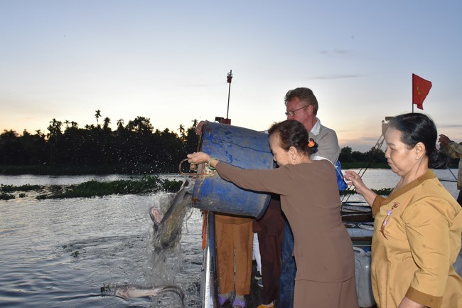 Freeing of creatures in early 2023 at Binh My ferry in Cu Chi