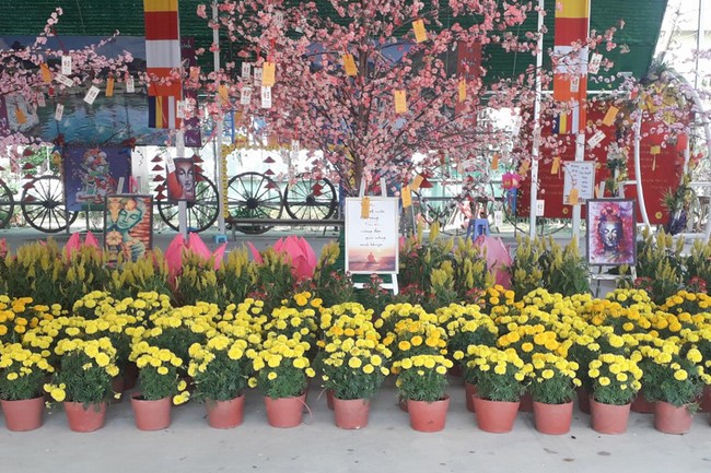 Welcoming the Lunar New Year at Hoang Phap Pagoda - Cambodia