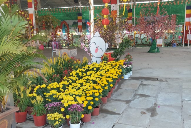 Welcoming the Lunar New Year at Hoang Phap Pagoda - Cambodia