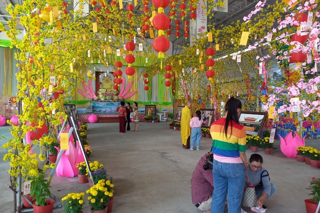 Welcoming the Lunar New Year at Hoang Phap Pagoda - Cambodia