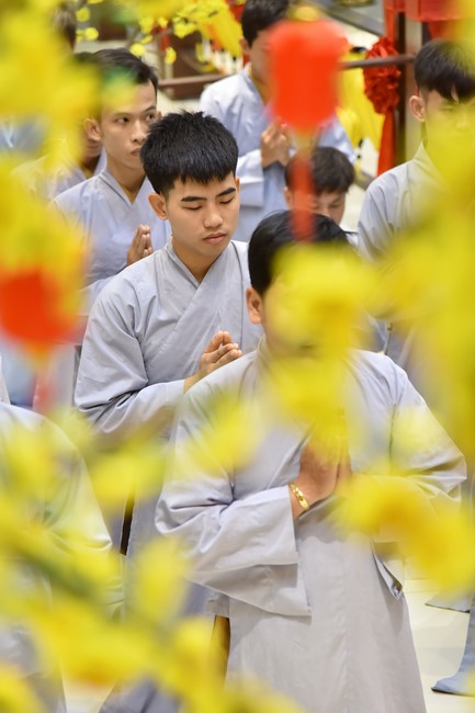 Series of photos on the 4th day of Lunar New Year