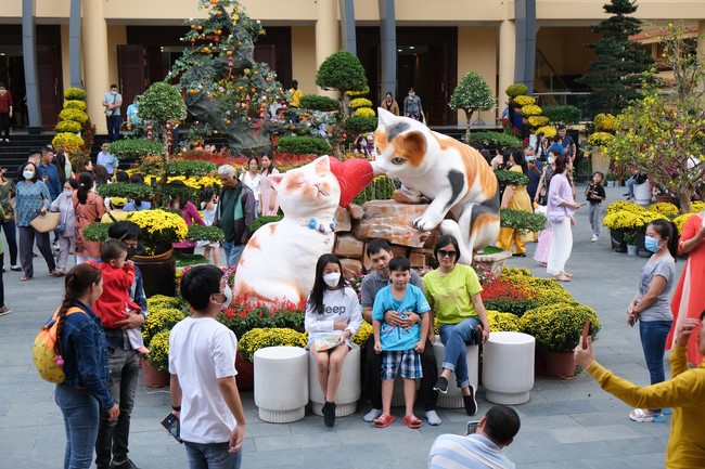 Series of photos on the 4th day of Lunar New Year