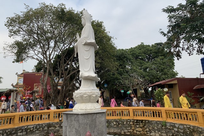 The 11 th Lotus seeds Sowing Retreat at Dong Cao Pagoda, Thanh Hoa