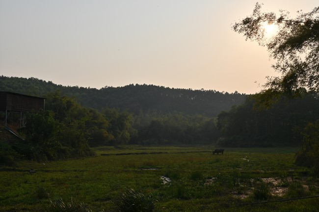 Ngày thứ tư, chuyến Phật sự miền Bắc, giảng pháp tại chùa Đại Sơn – chùa Đại Cồ Việt