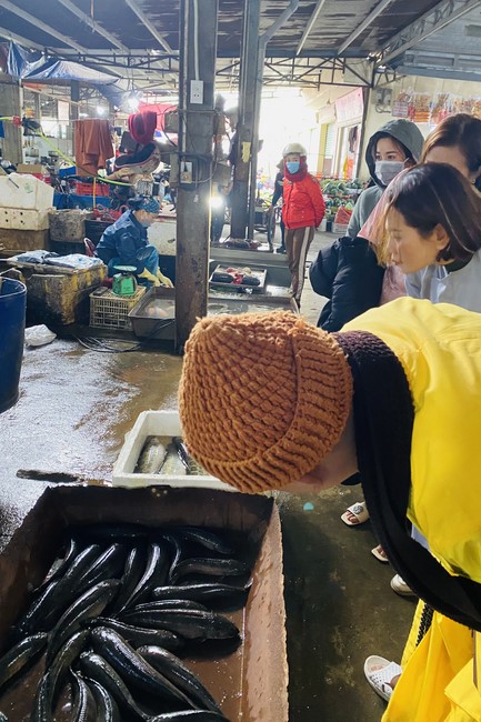 Charity and year - end creature releasing of Dong Cao Pagoda, Thanh Hoa