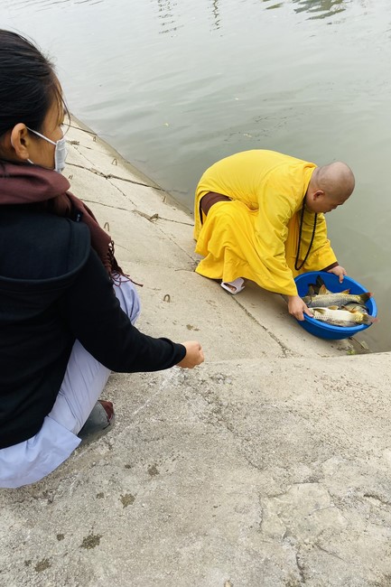 Charity and year - end creature releasing of Dong Cao Pagoda, Thanh Hoa