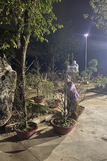 Chùa Suối Pháp – Tây Ninh: Lễ sám hối