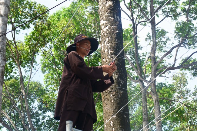 Preparation Activities to Welcome Year of Cat (part 2)