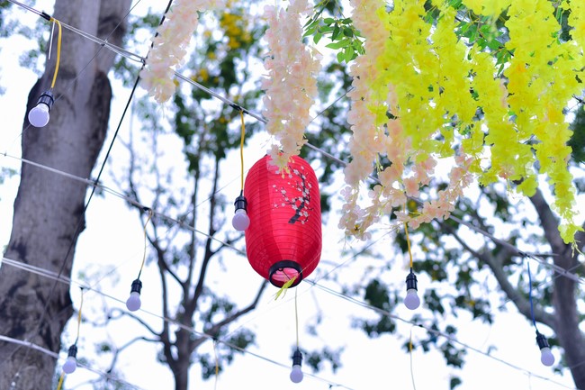 Preparation Activities to Welcome Year of Cat (part 2)