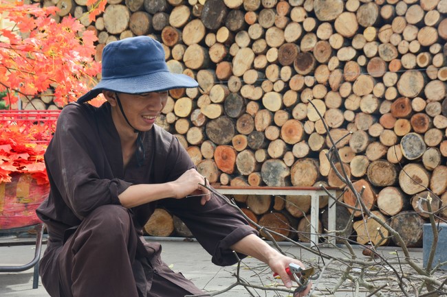 Preparation Activities to Welcome Year of Cat (part 2)