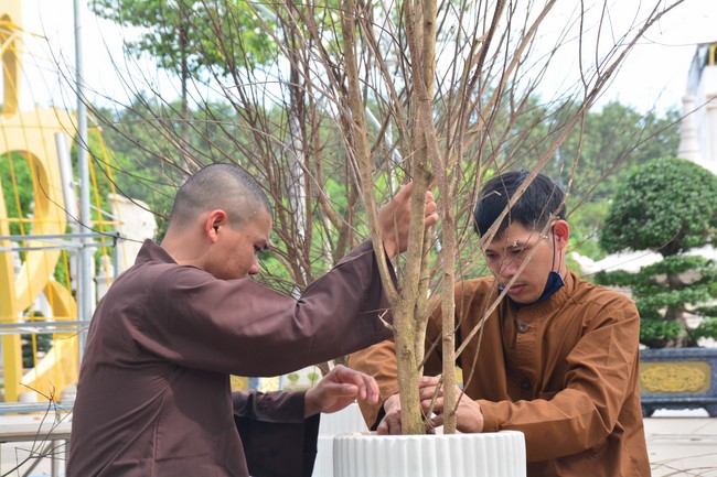 Preparation Activities to Welcome Year of Cat (part 2)