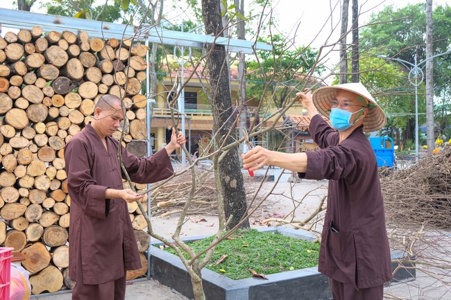 Preparation Activities to Welcome Year of Cat (part 2)