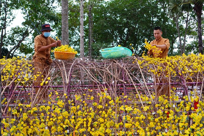 Preparation Activities to Welcome Year of Cat (part 2)