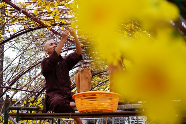 Preparation Activities to Welcome Year of Cat (part 2)