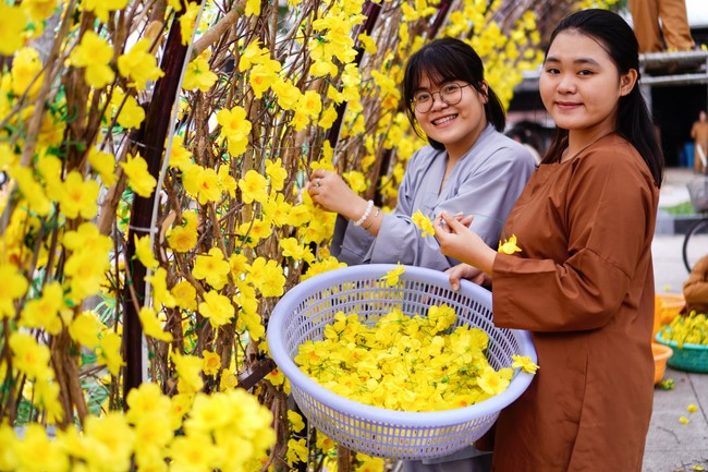 Preparation Activities to Welcome Year of Cat (part 2)