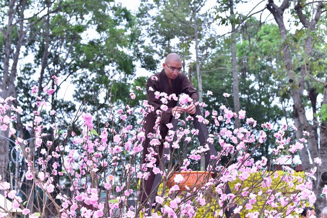 Preparation Activities to Welcome Year of Cat (part 2)