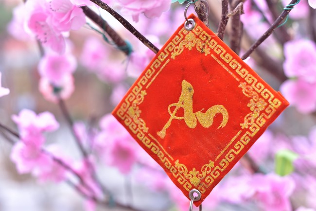Preparation Activities to Welcome Year of Cat (part 2)