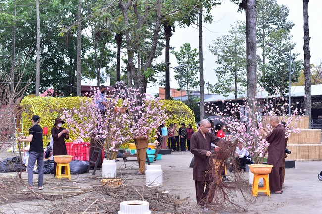 Preparation Activities to Welcome Year of Cat (part 2)