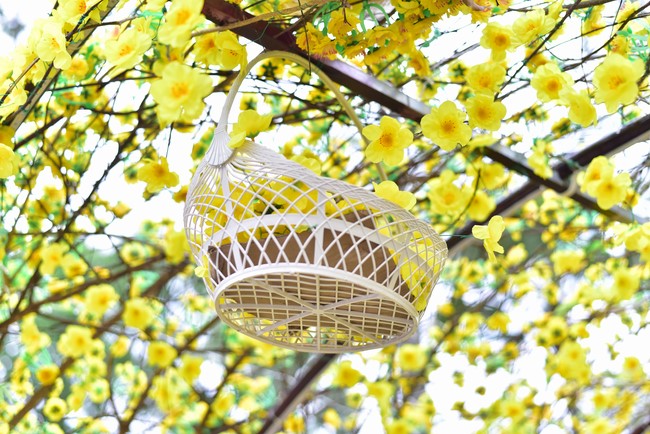 Preparation Activities to Welcome Year of Cat (part 2)