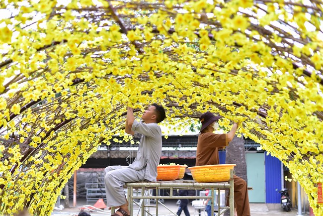 Preparation Activities to Welcome Year of Cat (part 2)