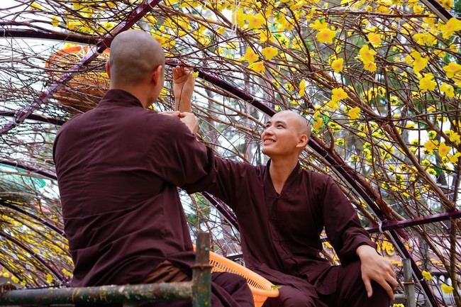 Preparation Activities to Welcome Year of Cat (part 2)