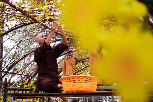 Preparation Activities to Welcome Year of Cat (part 2)