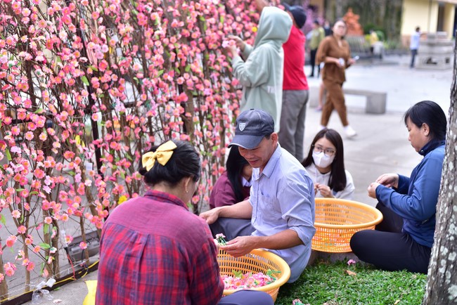 Preparation Activities to Welcome Year of Cat (part 2)