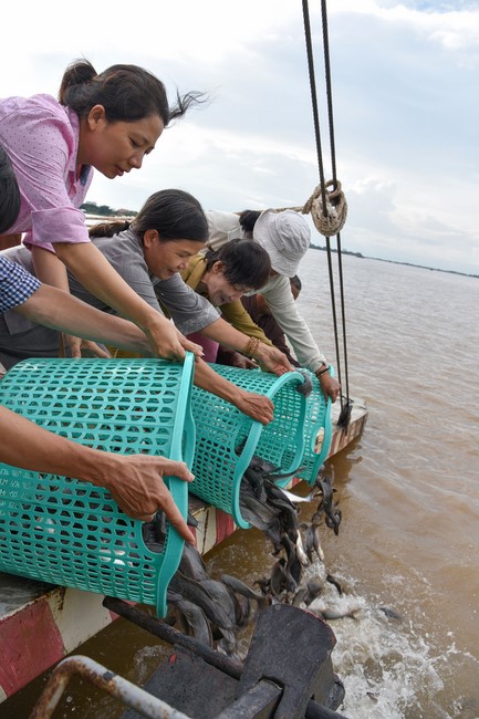 Buddhist Dieu Nguyet 's death Anniversary at Minh Chat ashram, Can Tho Province