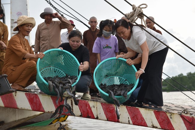 Buddhist Dieu Nguyet 's death Anniversary at Minh Chat ashram, Can Tho Province