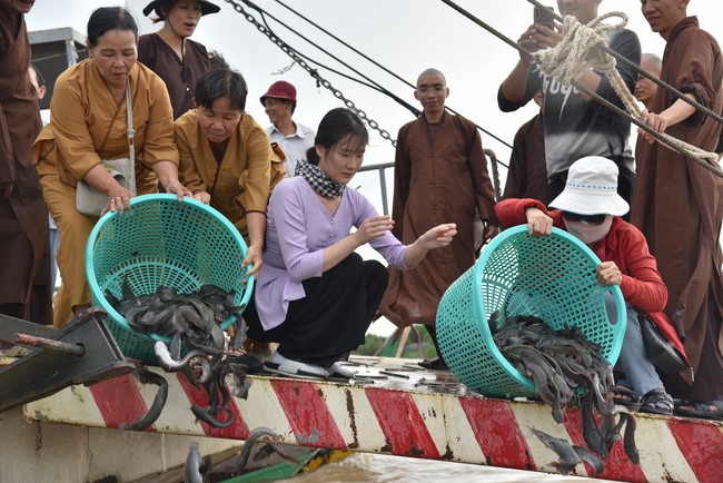 Buddhist Dieu Nguyet 's death Anniversary at Minh Chat ashram, Can Tho Province