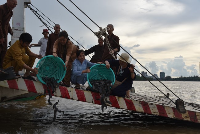 Buddhist Dieu Nguyet 's death Anniversary at Minh Chat ashram, Can Tho Province