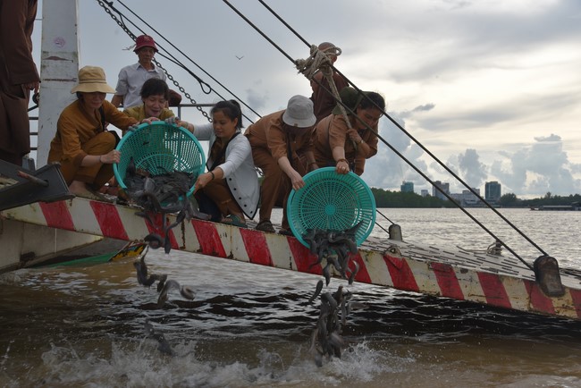 Buddhist Dieu Nguyet 's death Anniversary at Minh Chat ashram, Can Tho Province