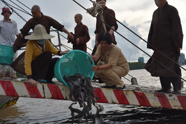 Buddhist Dieu Nguyet 's death Anniversary at Minh Chat ashram, Can Tho Province