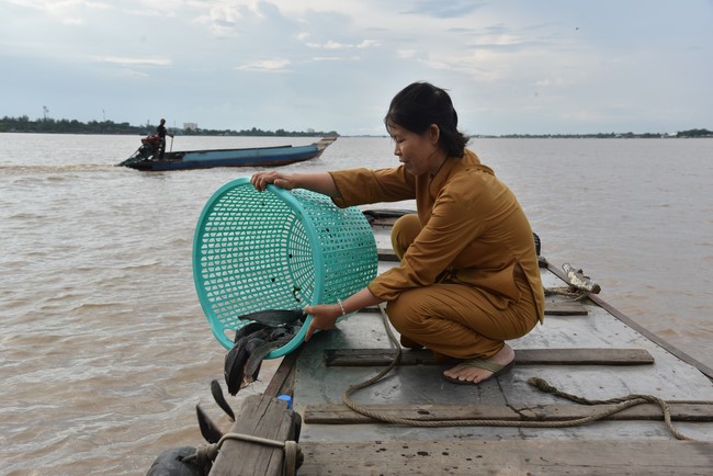 Buddhist Dieu Nguyet 's death Anniversary at Minh Chat ashram, Can Tho Province