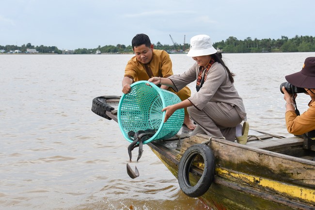 Buddhist Dieu Nguyet 's death Anniversary at Minh Chat ashram, Can Tho Province