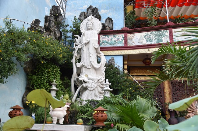 Quỹ đào tạo Tăng tài Ngộ Chân Tử cúng dường tại trường Trung cấp Phật học TP.HCM - Đồng Nai - Cần Thơ