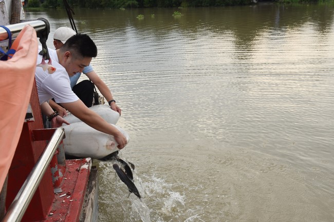 The Rite of Releasing creatures and Praying for Peace at Trang Nguyen company and Toan Phat Irradiation Company Limited